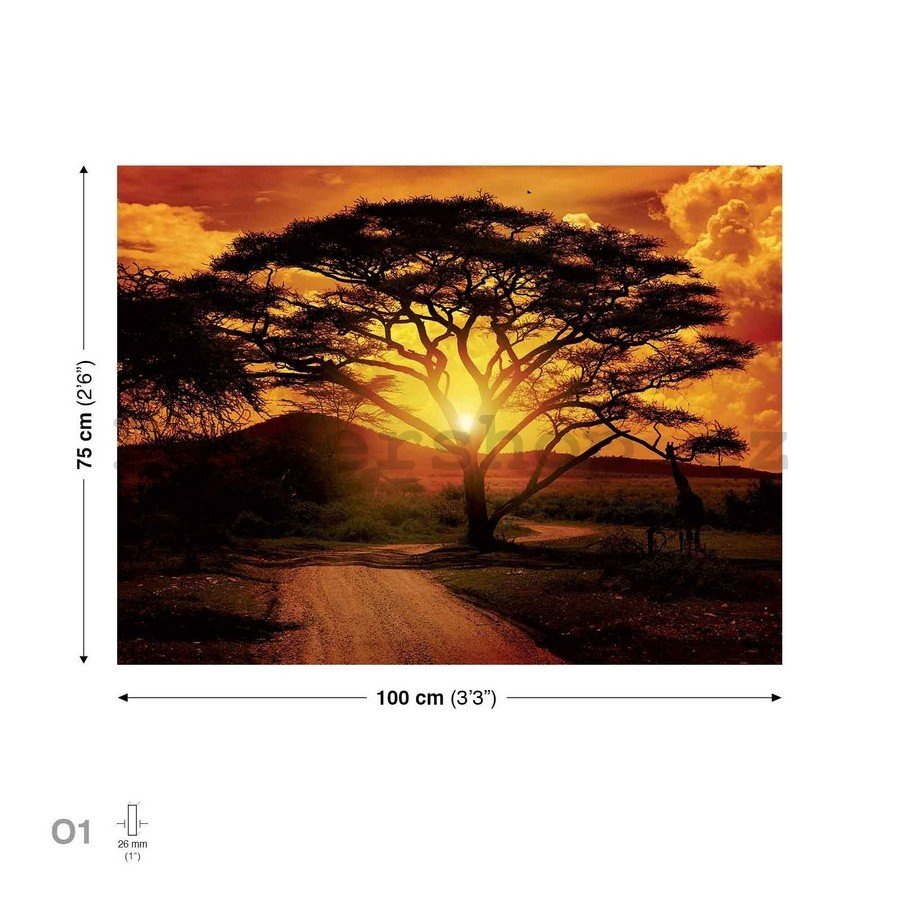 Obraz na plátně: Africký západ slunce - 75x100 cm