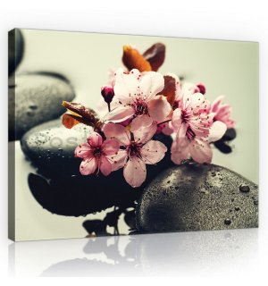 Obraz na plátně: Zen a květiny - 75x100 cm