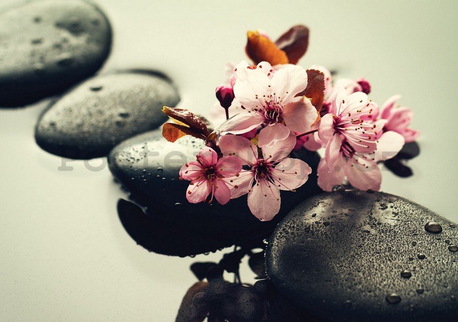 Obraz na plátně: Zen a květiny - 75x100 cm