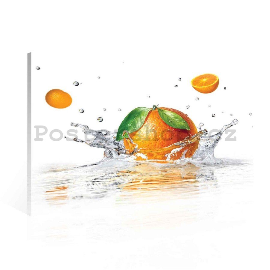 Obraz na plátně: Pomeranče - 75x100 cm