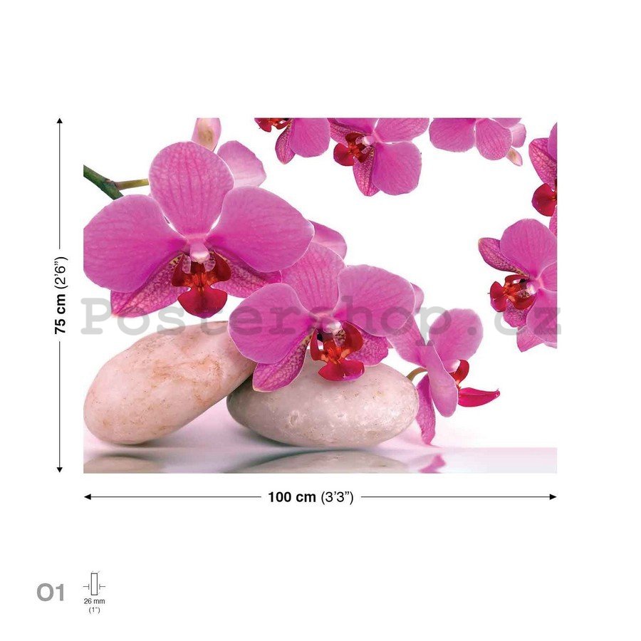 Obraz na plátně: Orchidej a kameny - 75x100 cm