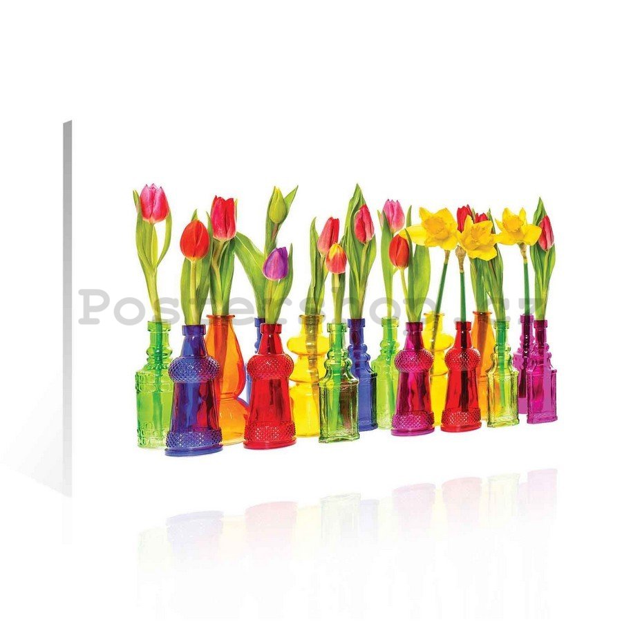 Obraz na plátně: Tulipány - 75x100 cm