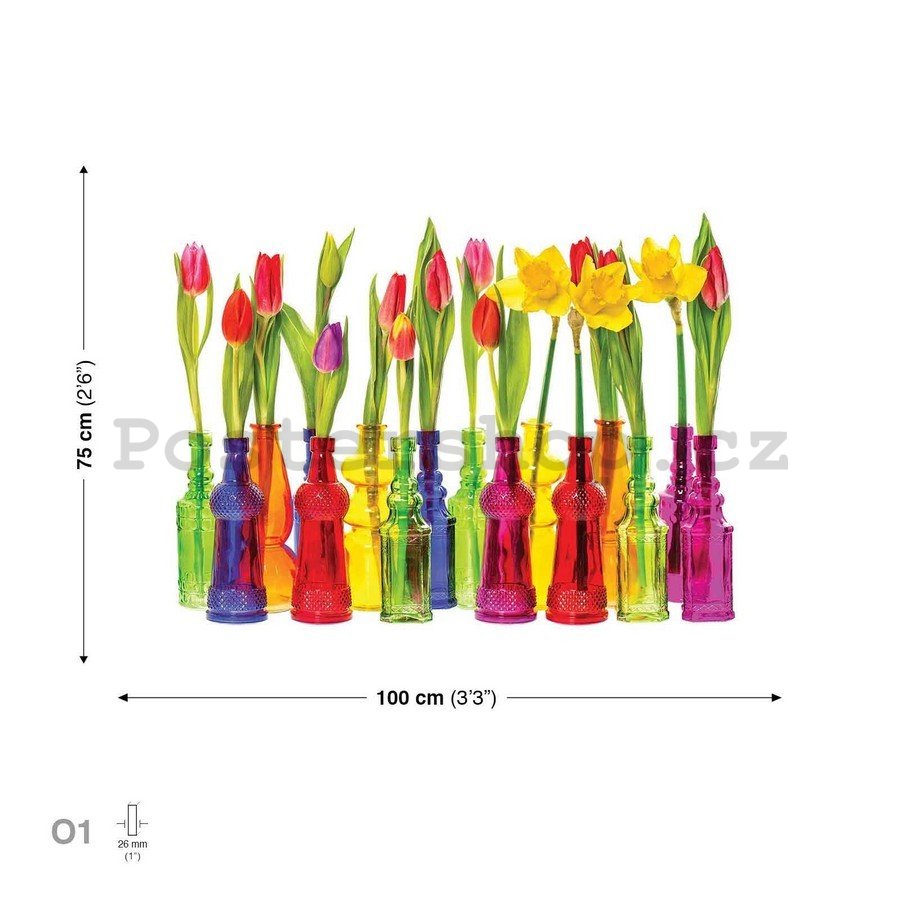 Obraz na plátně: Tulipány - 75x100 cm