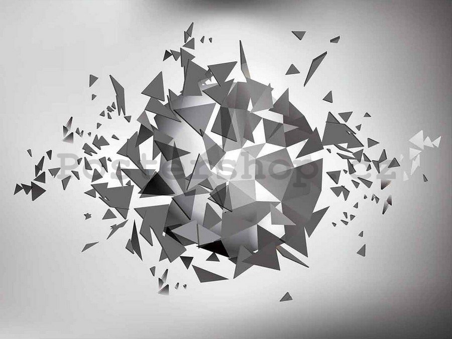 Obraz na plátně: Origami (2) - 75x100 cm