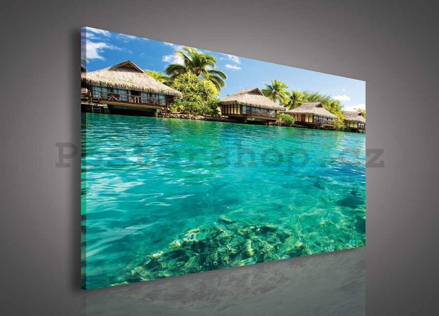 Obraz na plátně: Hawaii - 75x100 cm