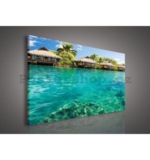 Obraz na plátně: Hawaii - 75x100 cm