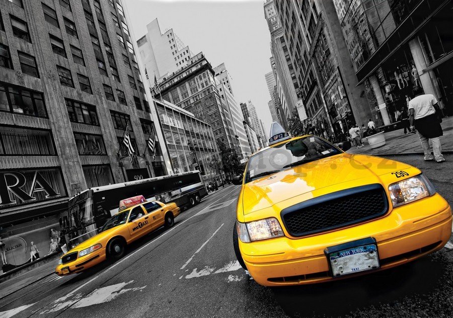Obraz na plátně: Manhattan Taxi (2) - 75x100 cm