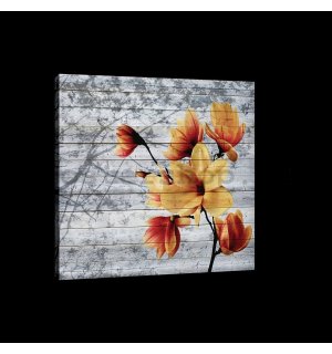 Obraz na plátně: Magnolie (5) - 75x100 cm