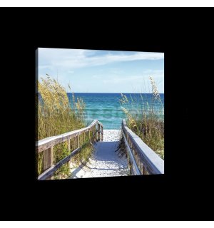 Obraz na plátně: Cesta na pláž (4) - 75x100 cm