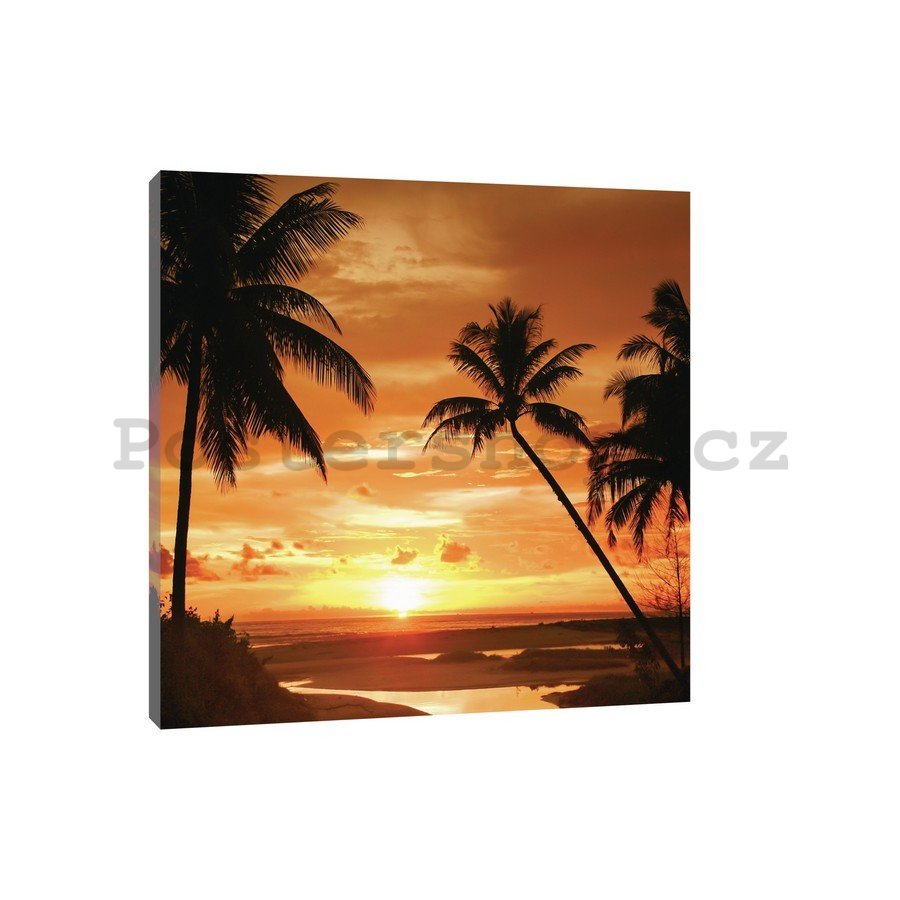 Obraz na plátně: Západ slunce na pláži (3) - 75x100 cm
