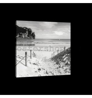 Obraz na plátně: Písčitá pláž (černobílá) - 75x100 cm
