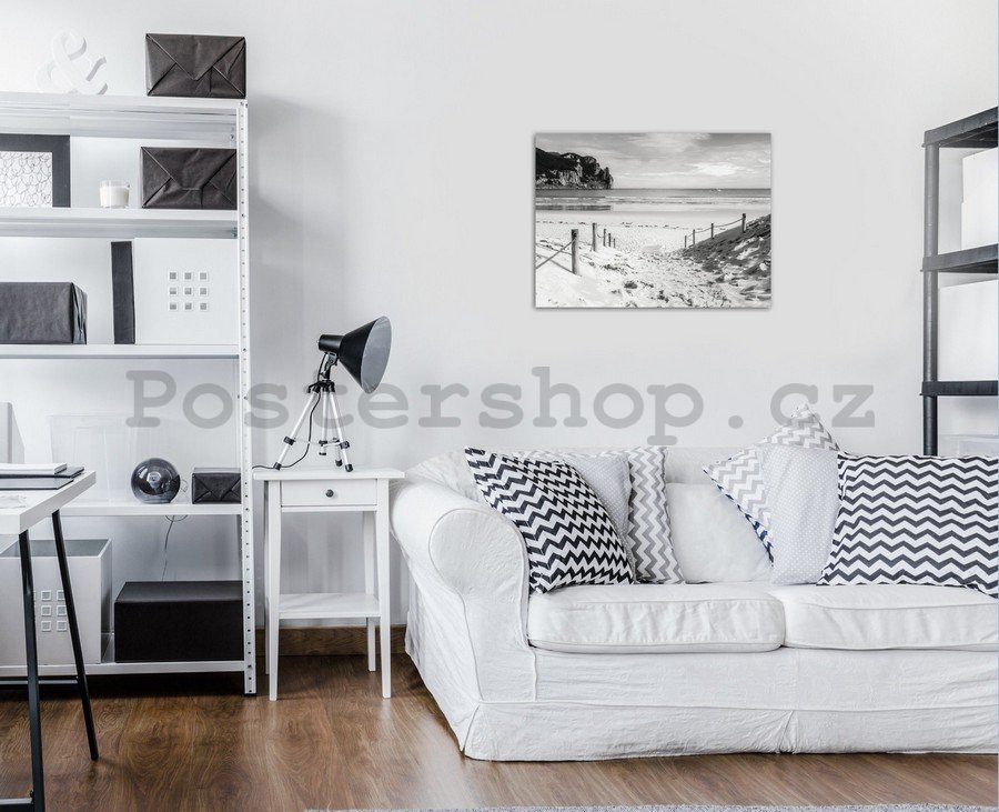 Obraz na plátně: Písčitá pláž (černobílá) - 75x100 cm