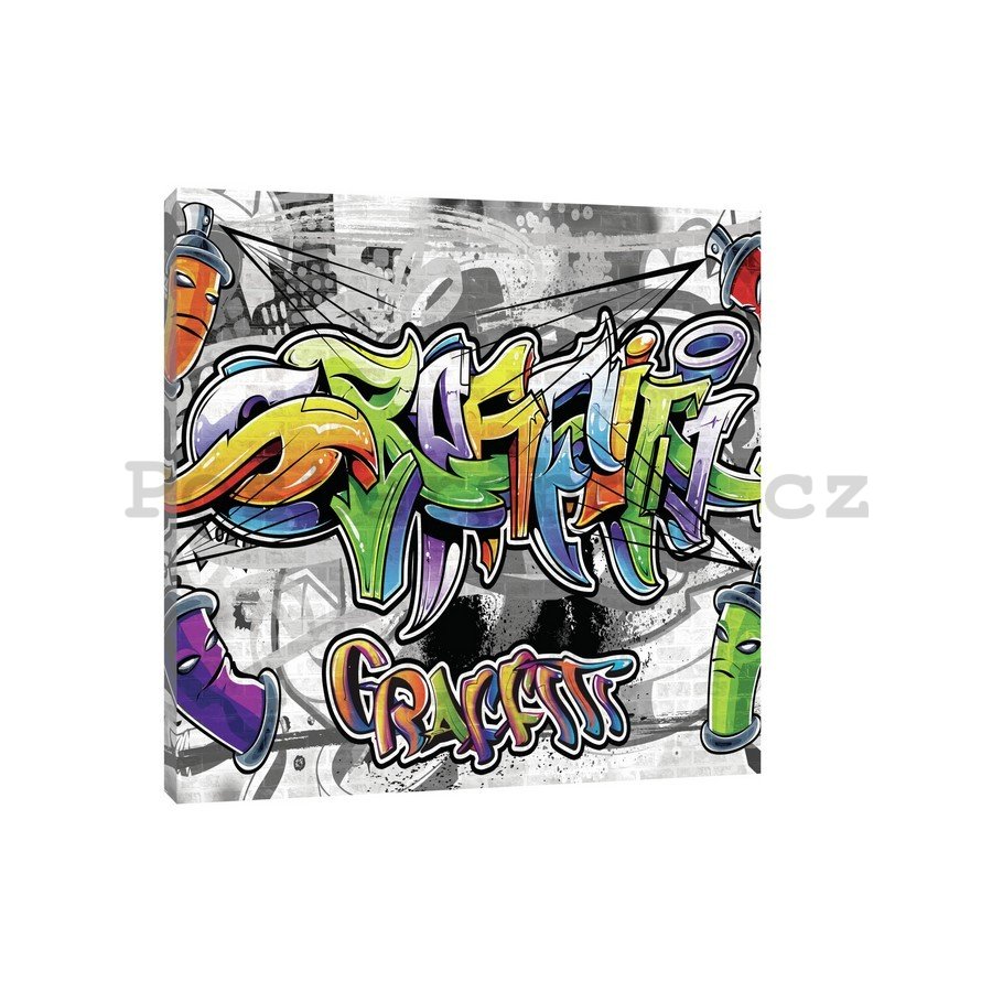Obraz na plátně: Graffiti (12) - 75x100 cm