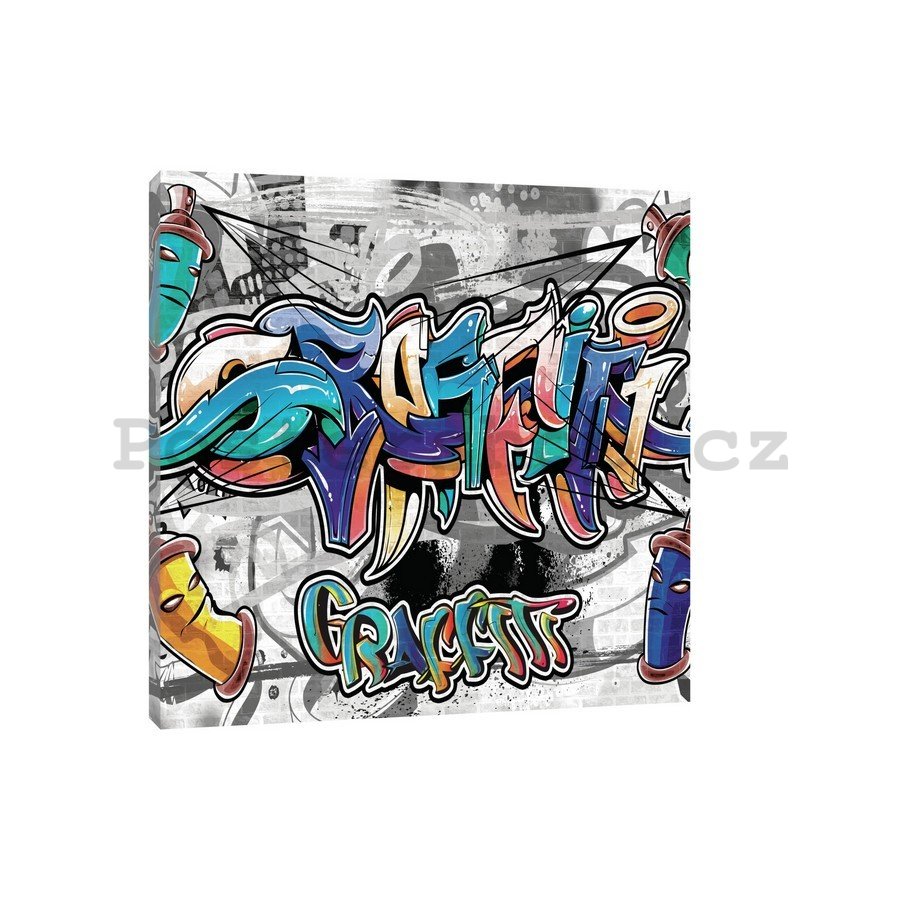 Obraz na plátně: Graffiti (9) - 75x100 cm
