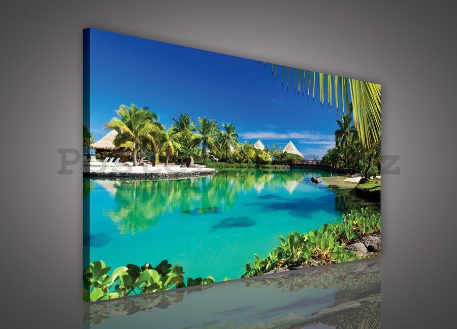 Obraz na plátně: Hawaii (Bungalovy) - 75x100 cm