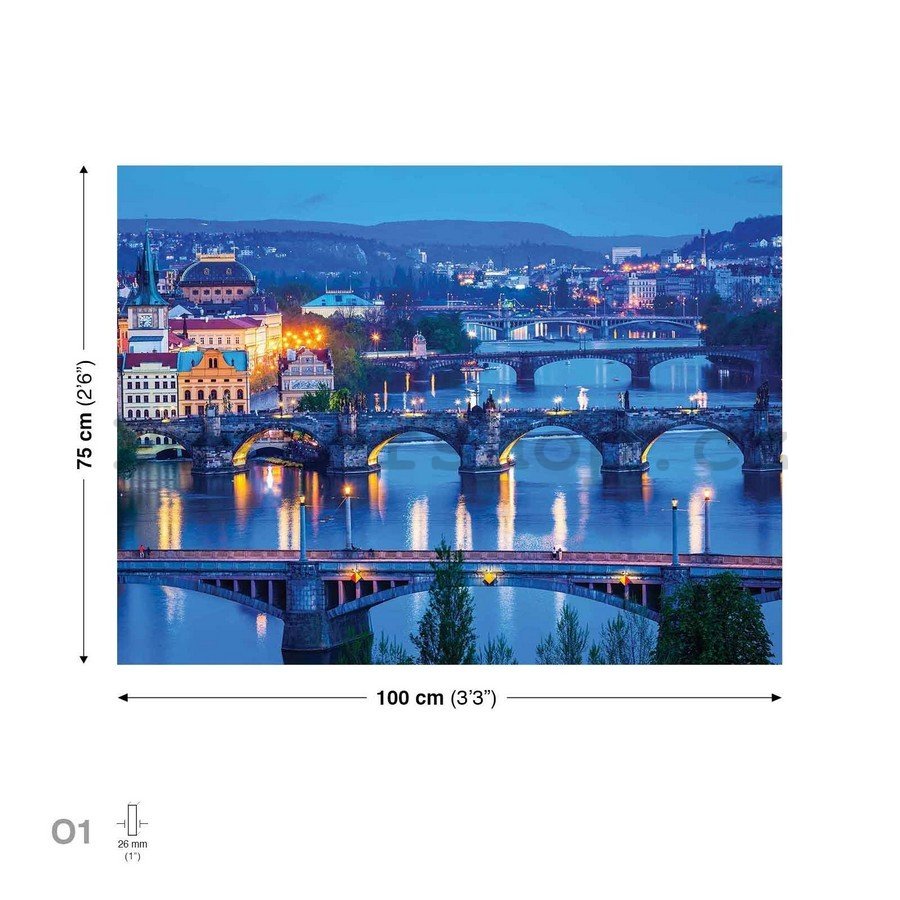 Obraz na plátně: Praha (3) - 75x100 cm