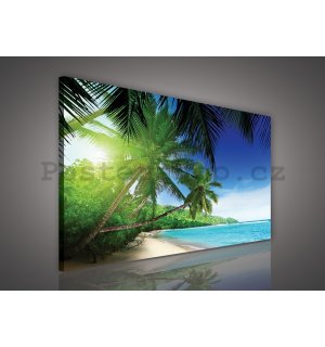 Obraz na plátně: Ráj na pláži - 75x100 cm