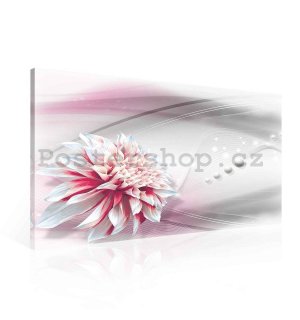 Obraz na plátně: Květinová abstrakce (3) - 75x100 cm