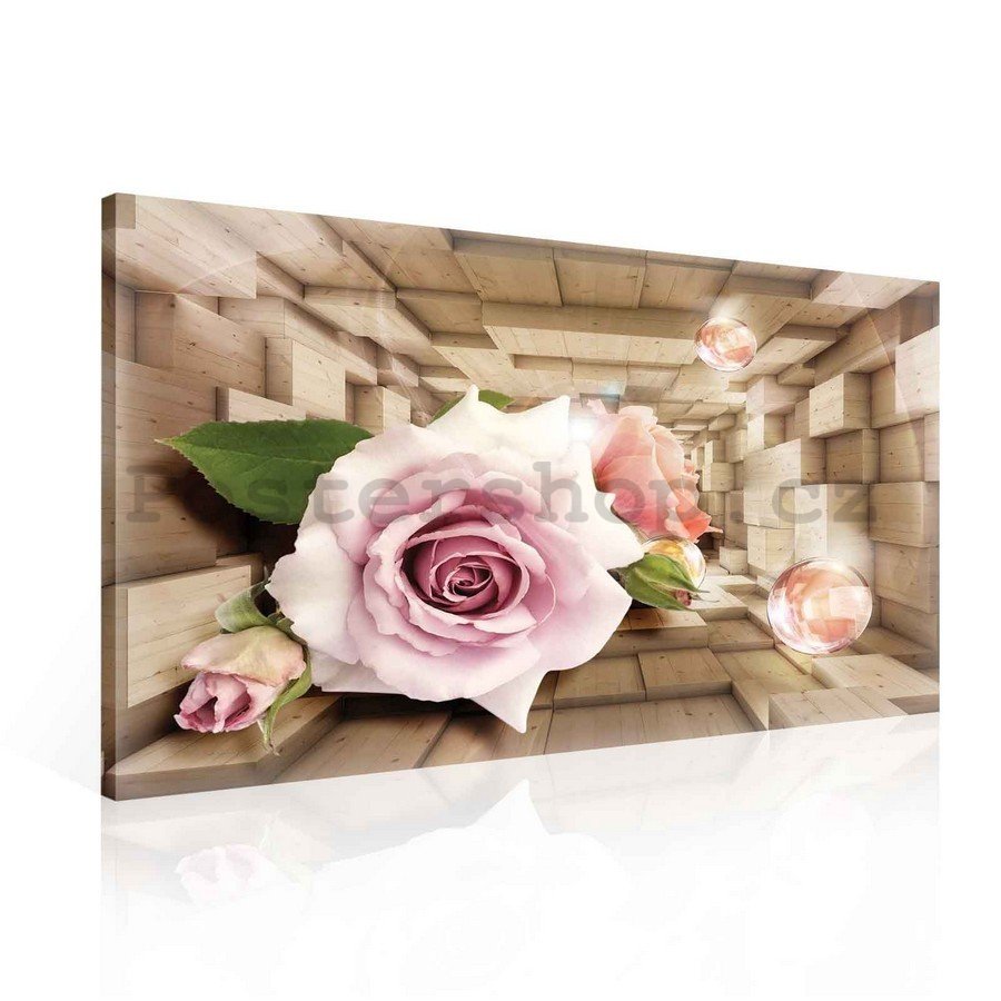 Obraz na plátně: Dřevěný tunel a růže - 75x100 cm