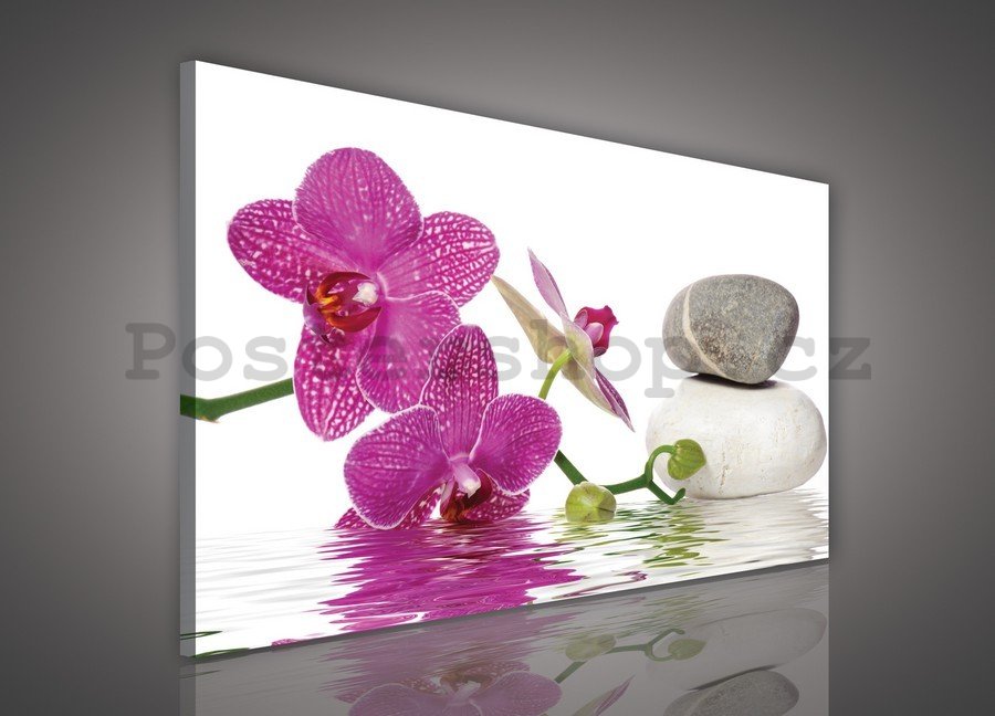 Obraz na plátně: Orchidej s kameny - 75x100 cm