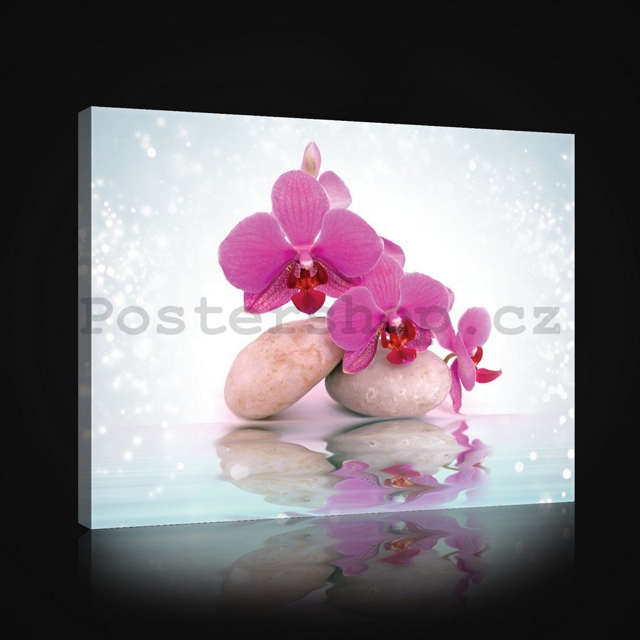 Obraz na plátně: Orchidej s kameny (2) - 75x100 cm