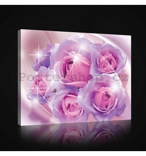 Obraz na plátně: Růžové růže - 75x100 cm