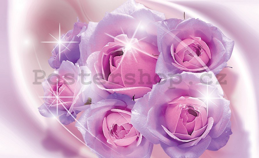 Obraz na plátně: Růžové růže - 75x100 cm
