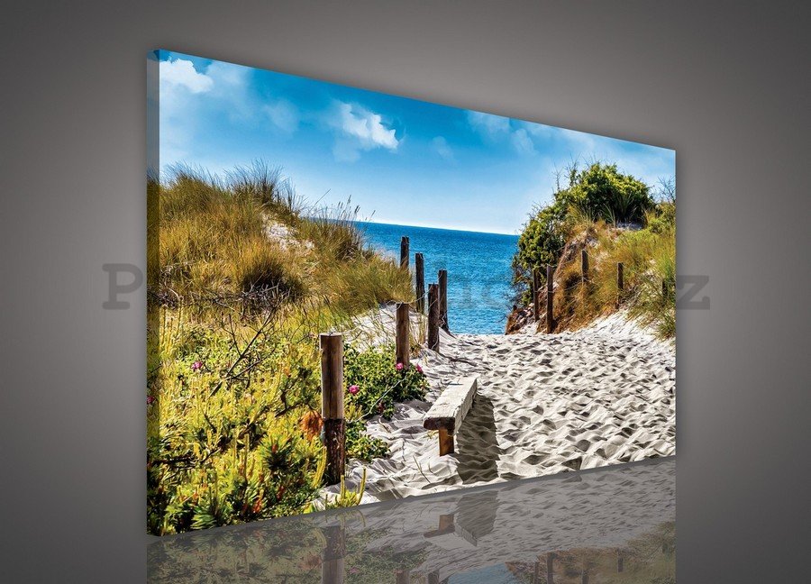Obraz na plátně: Cesta na pláž (6) - 75x100 cm