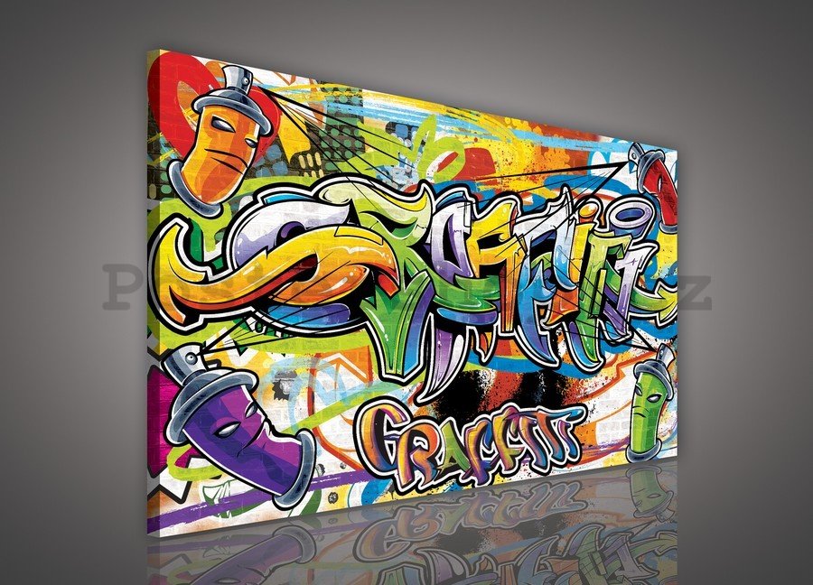 Obraz na plátně: Graffiti (2) - 75x100 cm