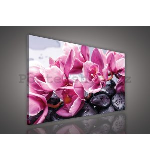 Obraz na plátně: Lázeňské kameny a růžové orchideje - 75x100 cm