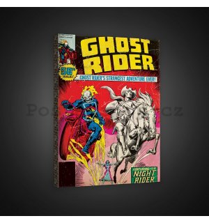 Obraz na plátně: Ghost Rider (comics) - 75x100 cm