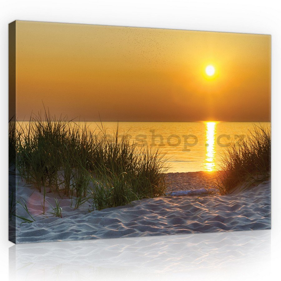Obraz na plátně: Západ slunce na pláži (5) - 75x100 cm