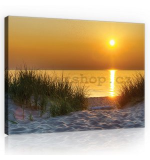 Obraz na plátně: Západ slunce na pláži (5) - 75x100 cm