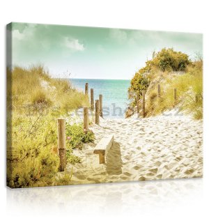 Obraz na plátně: Cesta na pláž (9) - 75x100 cm
