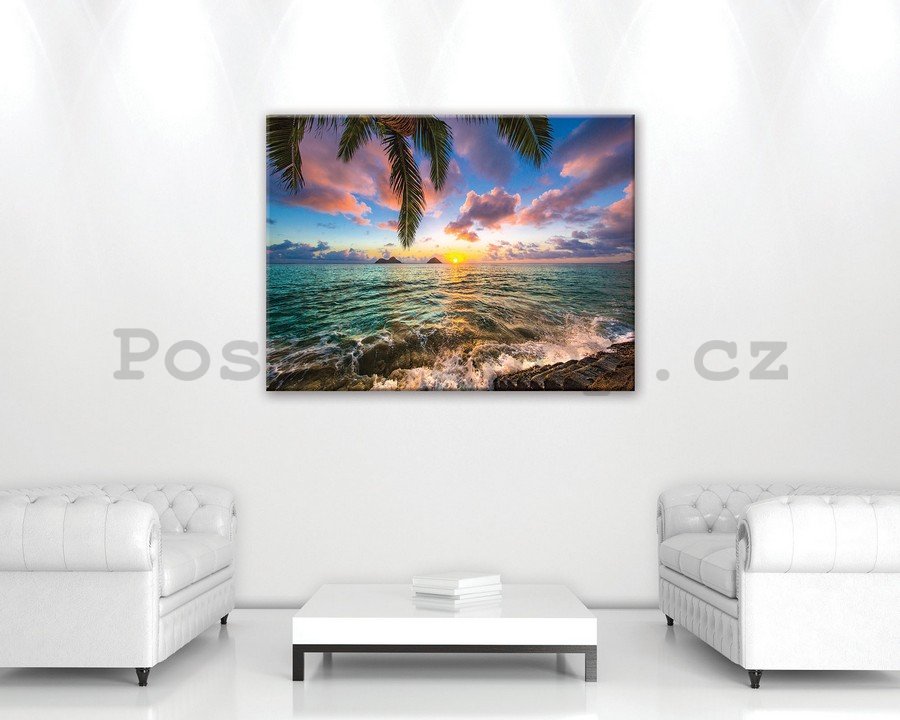 Obraz na plátně: Tropický ráj (3) - 75x100 cm
