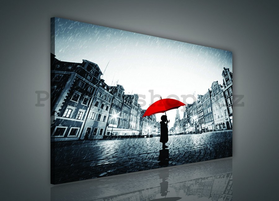 Obraz na plátně: V dešti - 75x100 cm