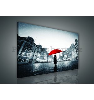 Obraz na plátně: V dešti - 75x100 cm