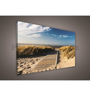 Obraz na plátně: Cesta na pláž (2) - 75x100 cm