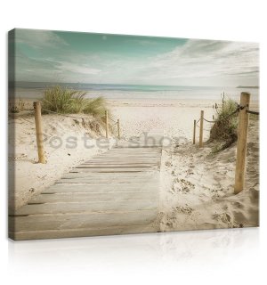 Obraz na plátně: Cesta na pláž (10) - 75x100 cm