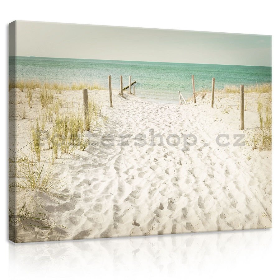 Obraz na plátně: Cesta na pláž (11) - 75x100 cm