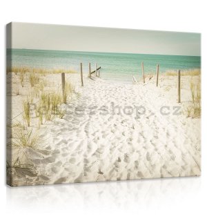 Obraz na plátně: Cesta na pláž (11) - 75x100 cm