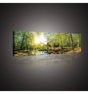 Obraz na plátně: Lesní potok (3) - 145x45 cm