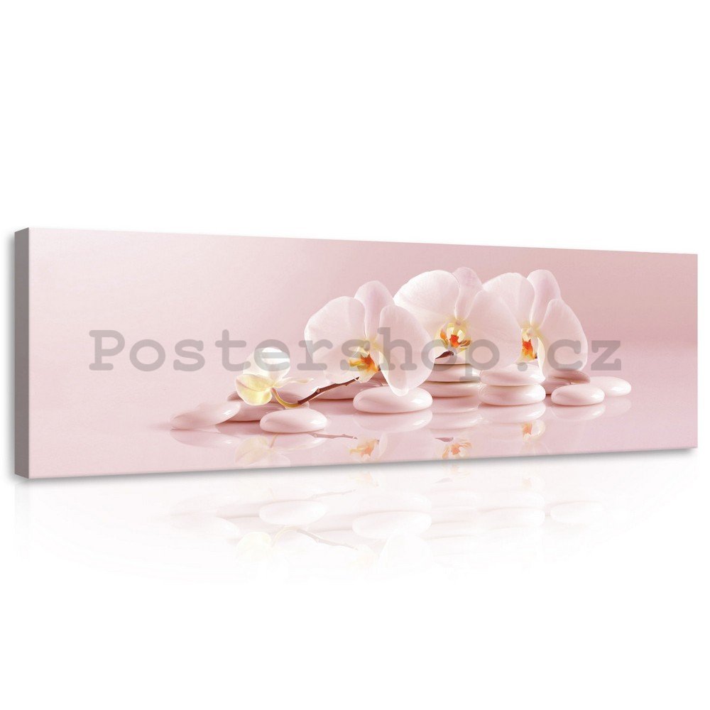 Obraz na plátně: Růžové orchideje - 145x45 cm