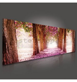 Obraz na plátně: Rozkvetlá alej (1) - 145x45 cm