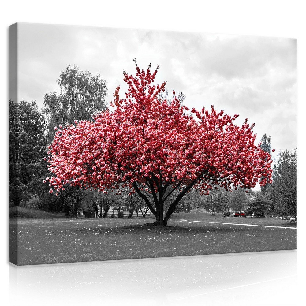 Obraz na plátně: Rozkvetlý strom - 75x100 cm