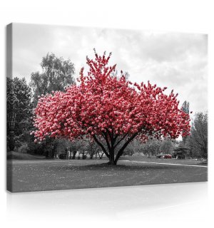 Obraz na plátně: Rozkvetlý strom - 75x100 cm