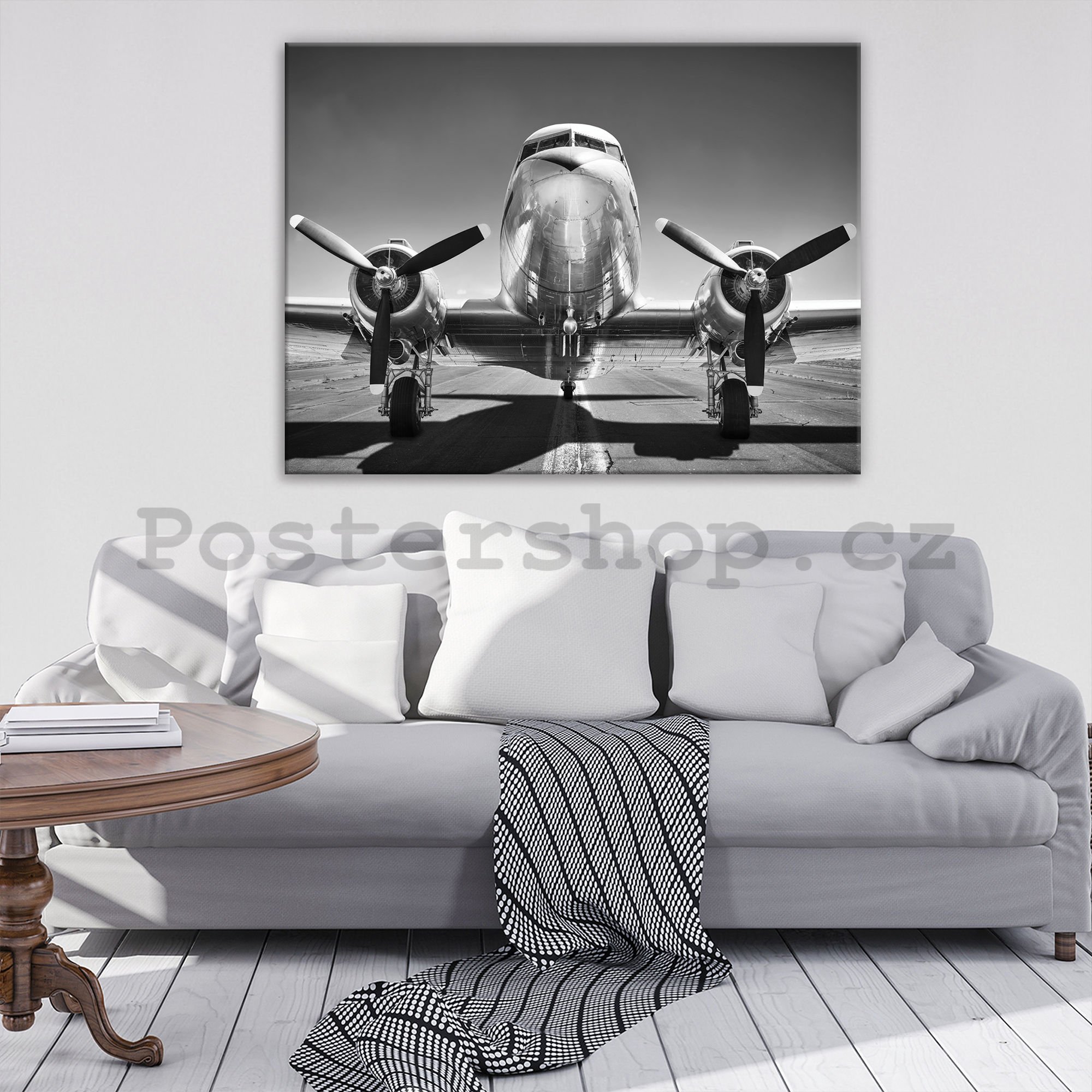 Obraz na plátně: Černobílé letadlo (1) - 75x100 cm
