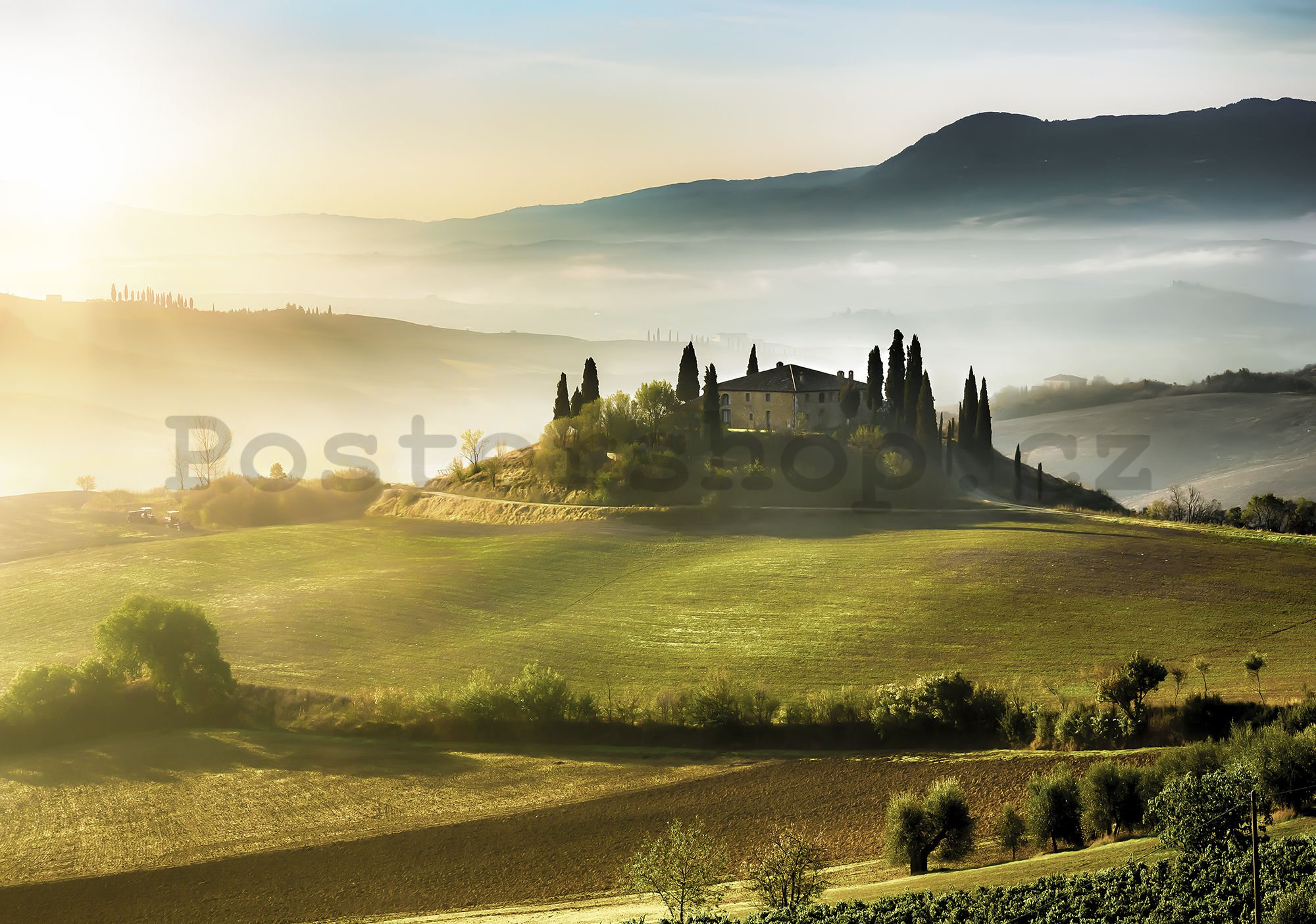 Fototapeta: Tuscany Hill - 254x368 cm