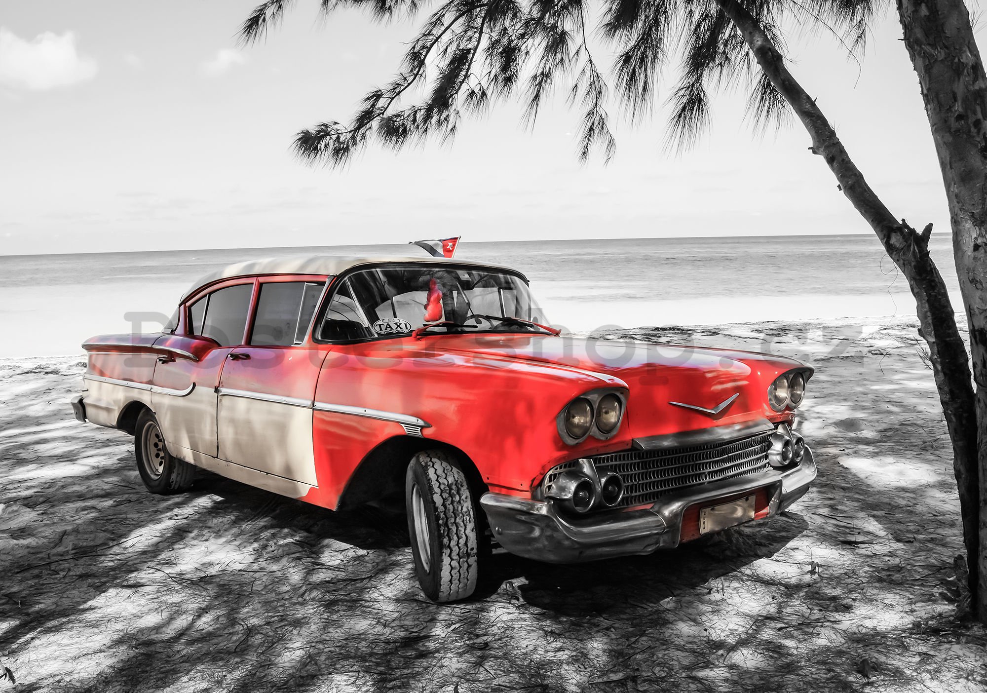 Fototapeta vliesová: Kuba červené auto u moře - 184x254 cm