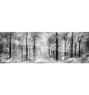 Fototapeta: Černobílý les - 624x219 cm